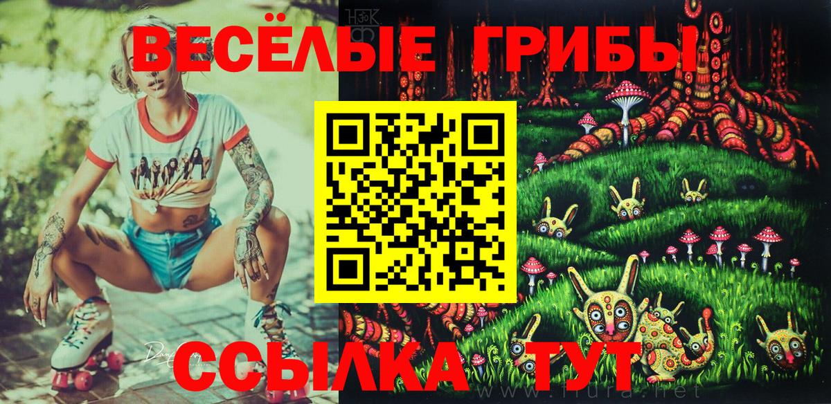 Псилоцибиновые грибы Psilocybine cubensis  Вход с VPN  Челябинск 
